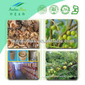 High Quality/Factory Supply Natural Phyllanfhus Fruit Extract Powder 40% Polyphenols 4:1, 10:1